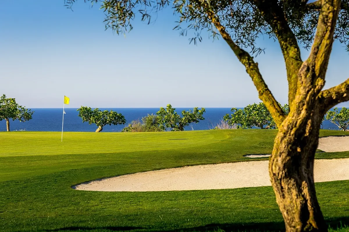 Quinta da Ria – green med havet i bakgrunden