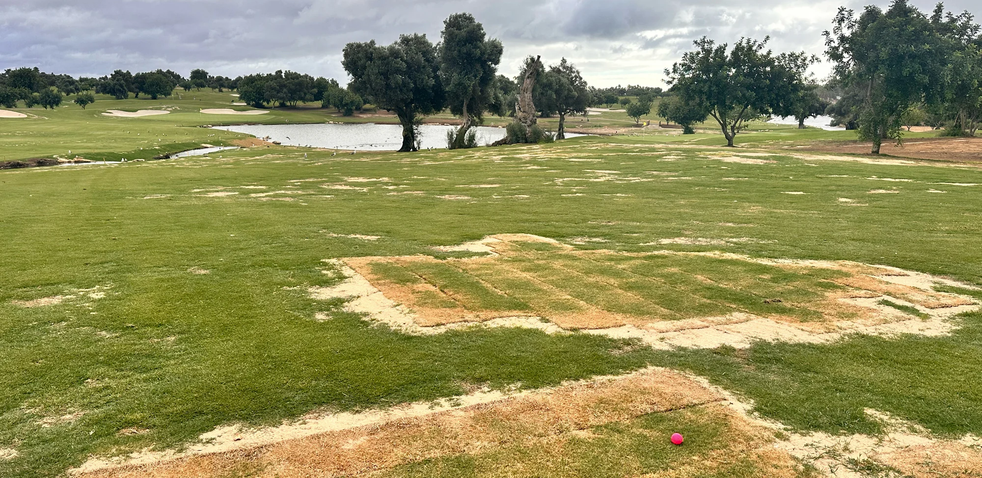 Quinta de Cima – en klassiker i Algarve på väg mot toppform